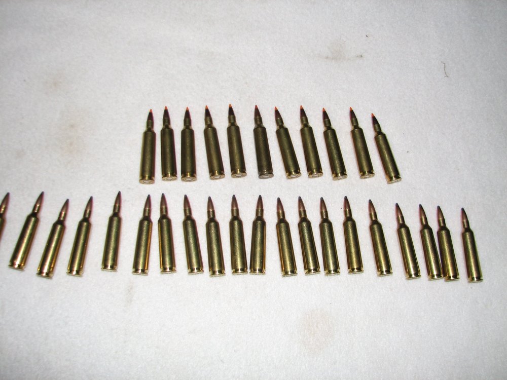 22-250-ammo-sass-wire-classifieds-sass-wire-forum