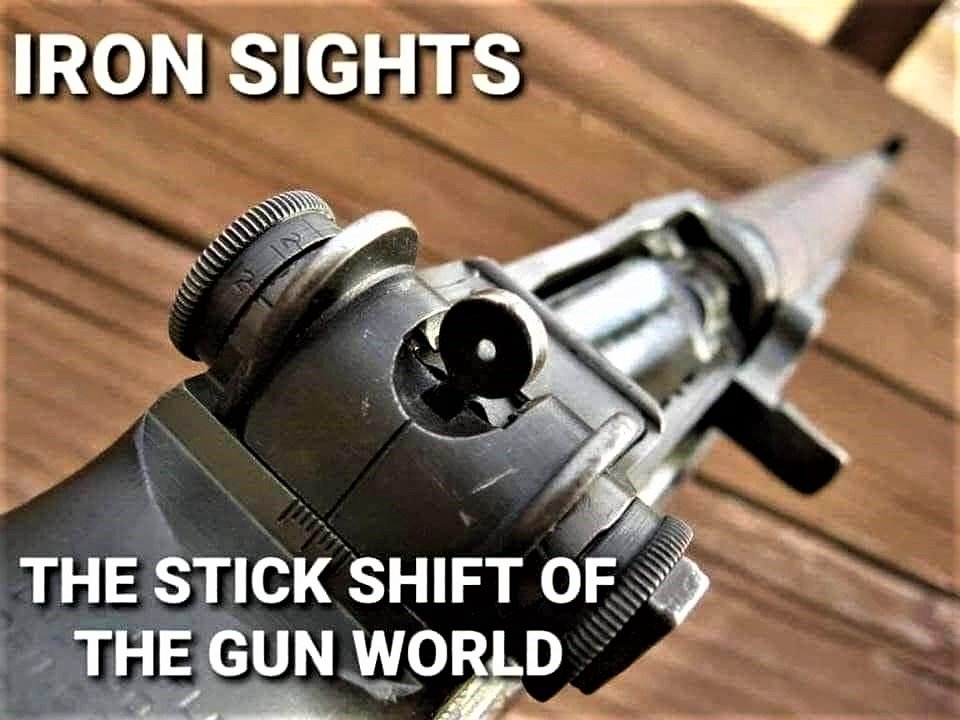 IronSights.jpg.523acec8c64d97a9057b6a3cc7ffe217.jpg