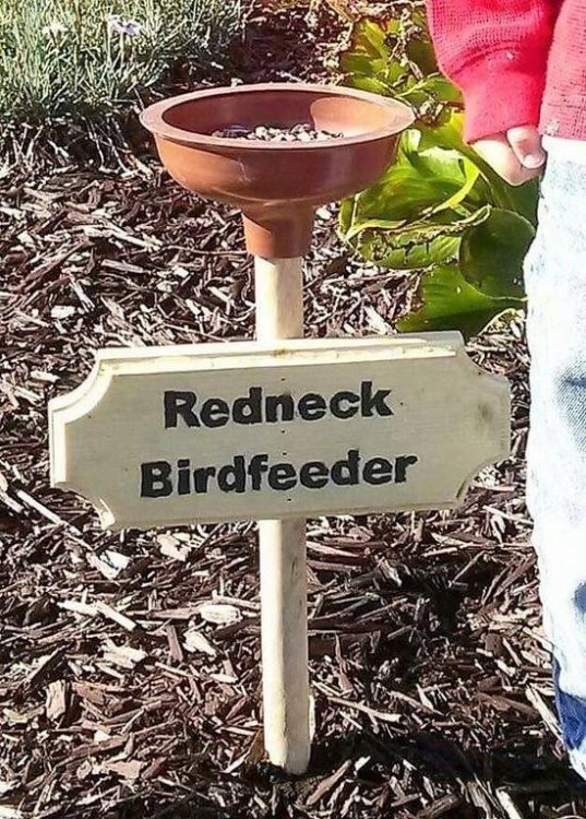 redneck birdfeeder.jpg