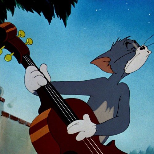 One Cool Cat - SASS Wire Saloon - SASS Wire Forum