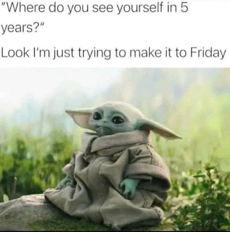 Yoda and 5 Years.jpg