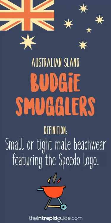 australian-slang-budgie-smugglers.jpg.thumb.webp.f1aba39106b1edf33934b48dcc1647ee.webp