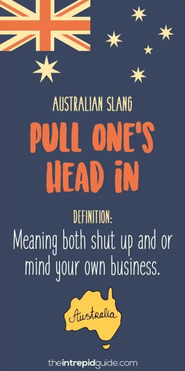 australian-slang-pull-ones-head-in.thumb.webp.344838fc41bfe6d94ccfc4b5aab6fc01.webp