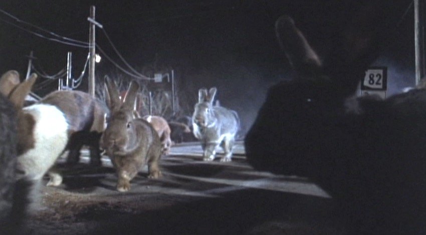 Teased by rabbits - SASS Wire Saloon - SASS Wire Forum