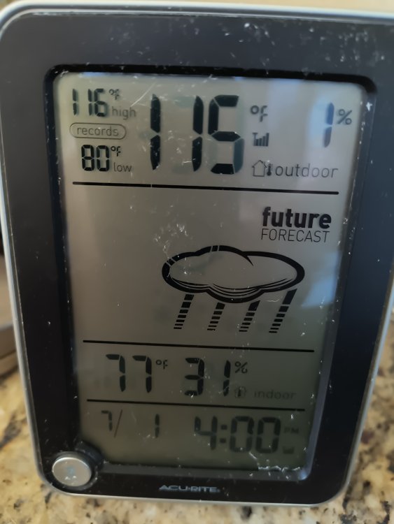 16882524259083223854613280882661.jpg