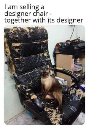 cat chair.png