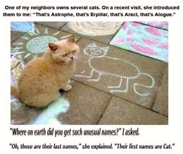 cat names.png