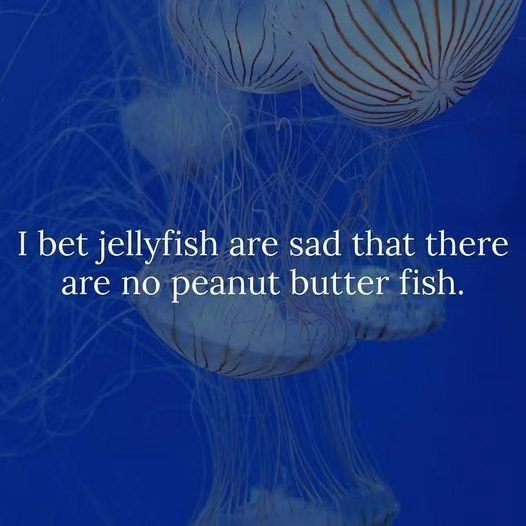 meme jellyfishsad.jpg