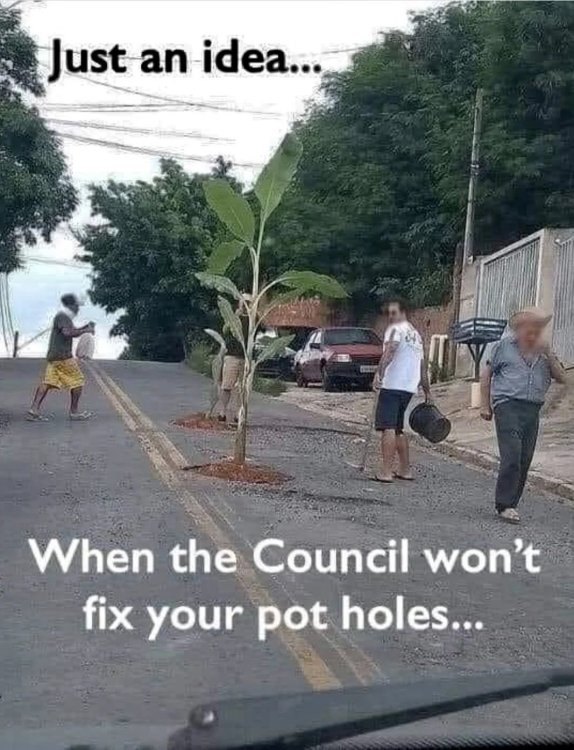 meme potholes.jpg