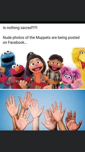 photo muppets 1658772544319.png