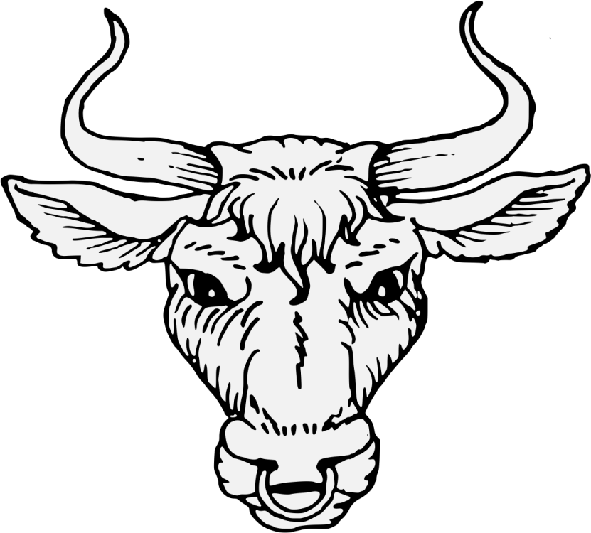 199-1994204_bulls-head-cabossed-heraldic-bull-head.png