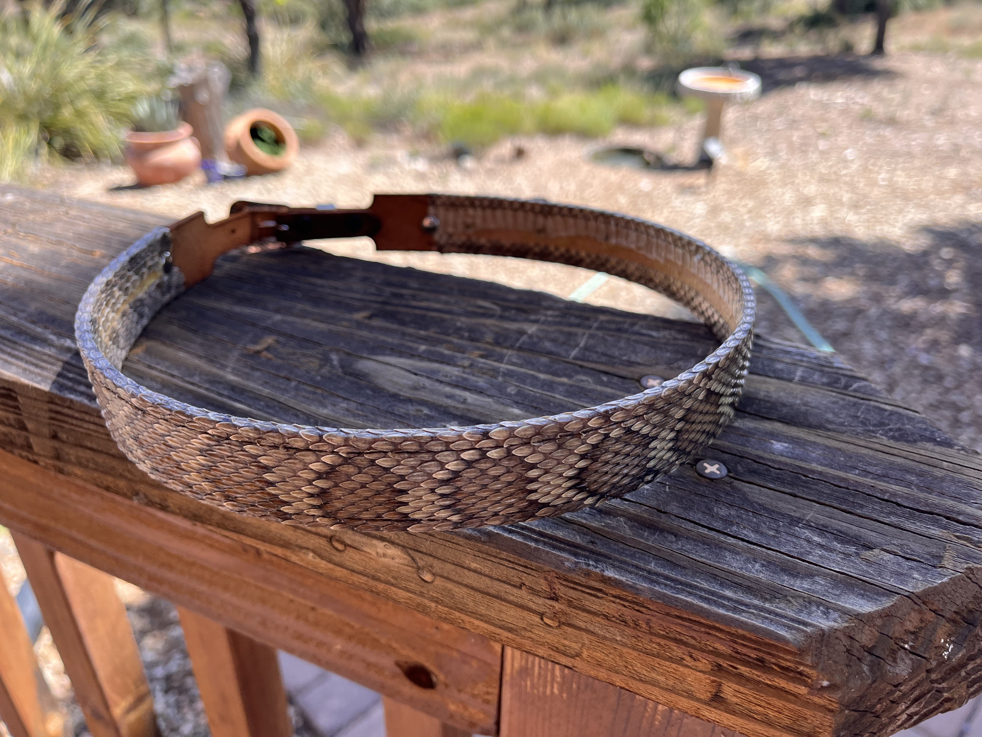 Variety Rattlesnake Skins Use Belts on sale Hats Boots