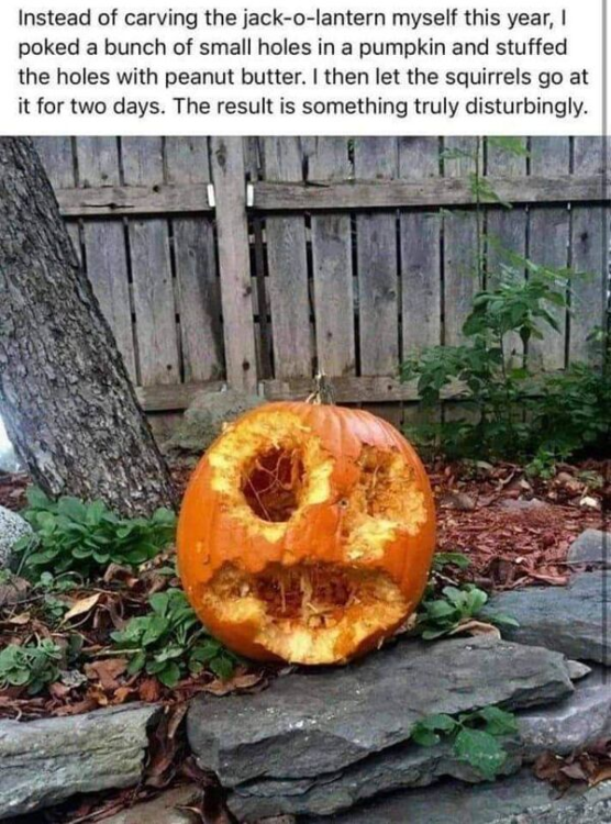 humor pumpkin.png