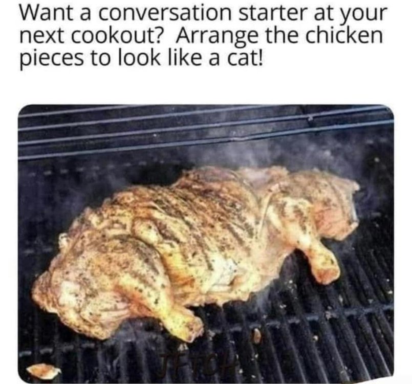 meme grille cat.jpg