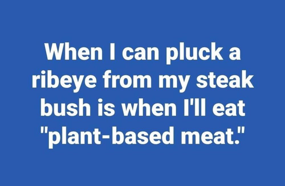 meme steak bush.jpg