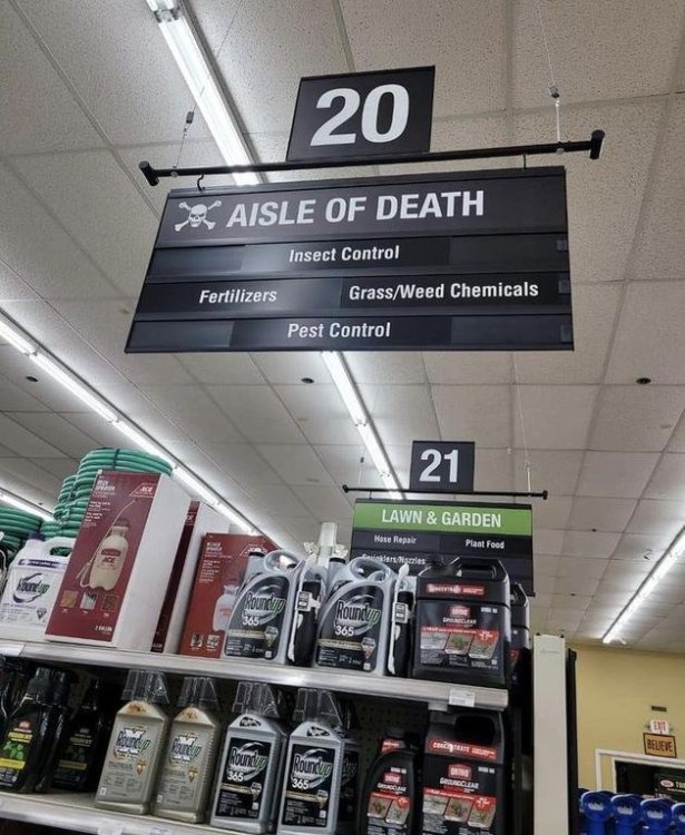 photo aisle of death.jpg