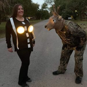 photo deer headlights.png