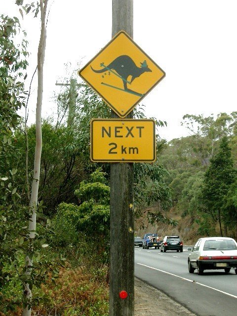 Aussie sign.jpg