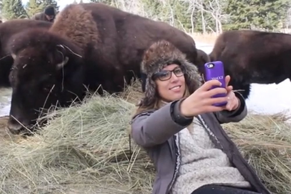 bisonselfie3.thumb.jpg.e26c02de2c58071a39ff3f6d5a781a1b.jpg