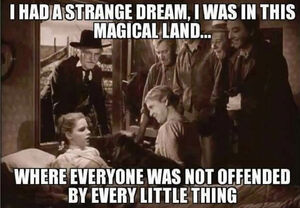 meme Dorothy.png
