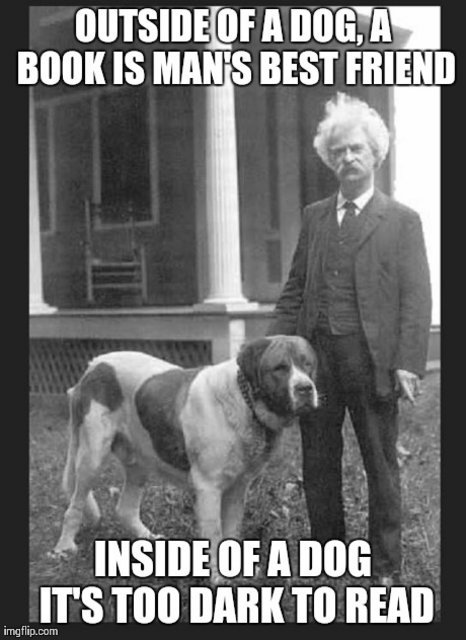 meme Mark Twain.jpg