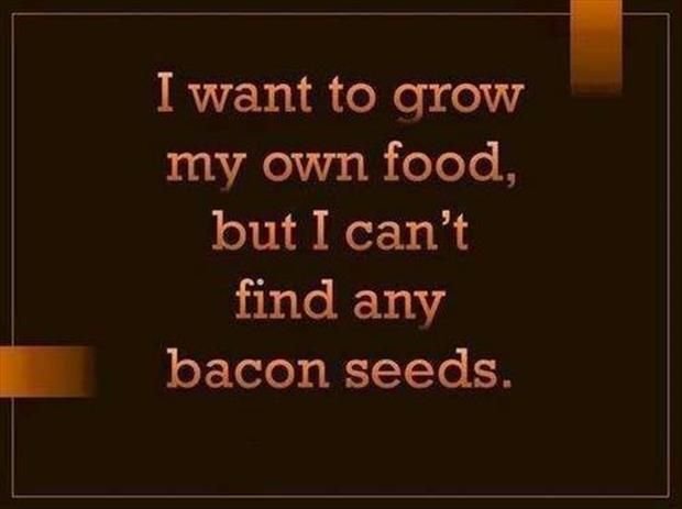 meme bacon seeds.jpg