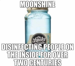 meme moonshine.png