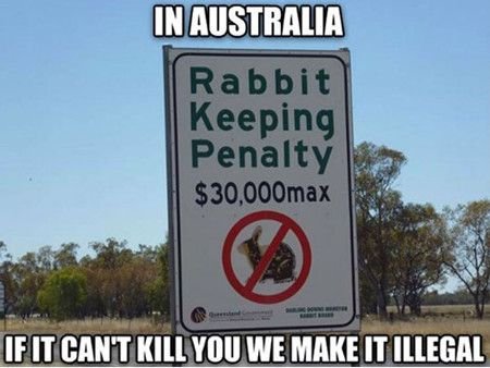 Australia-Meme-1-1.jpg