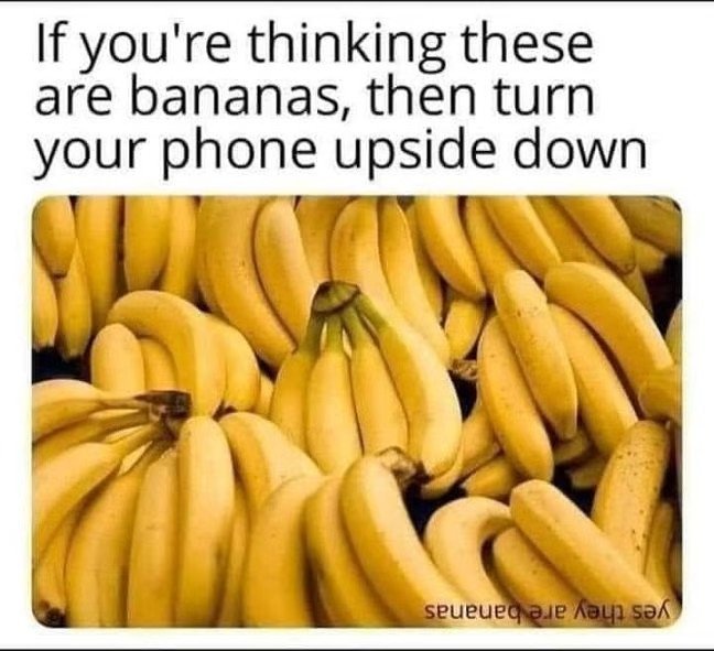 humor bananas.jpg