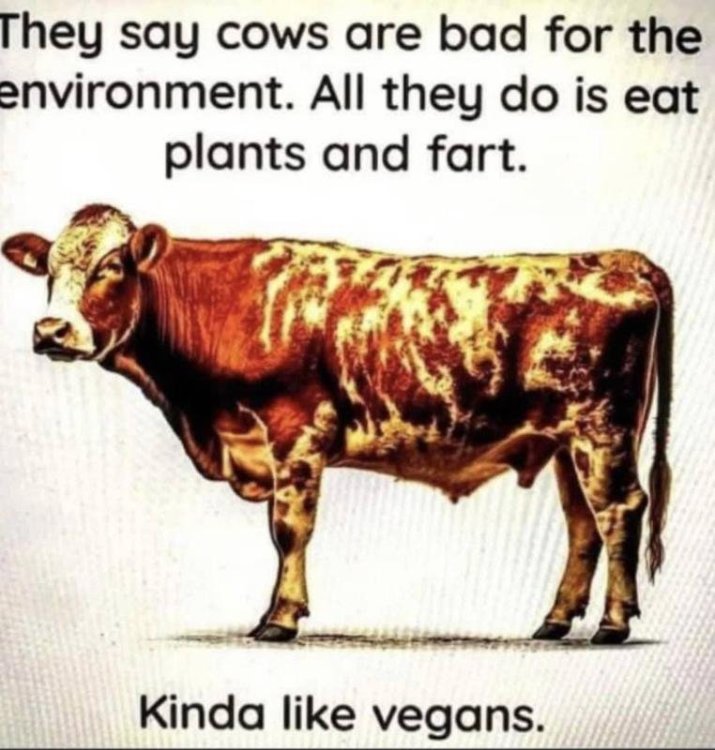 humor vegan.jpg