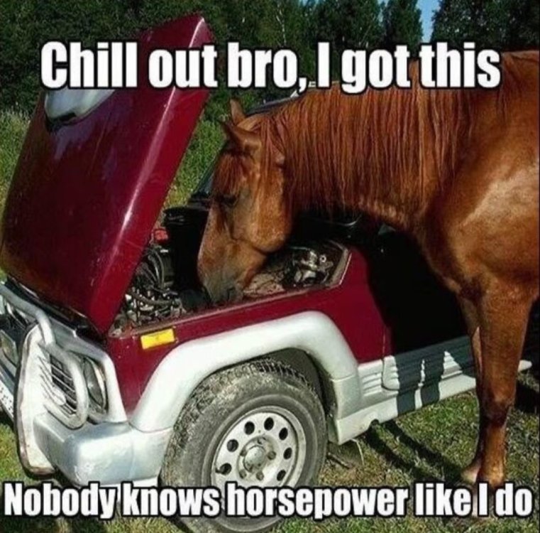 meme horsepower.jpg