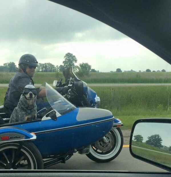 photo sidecar.png