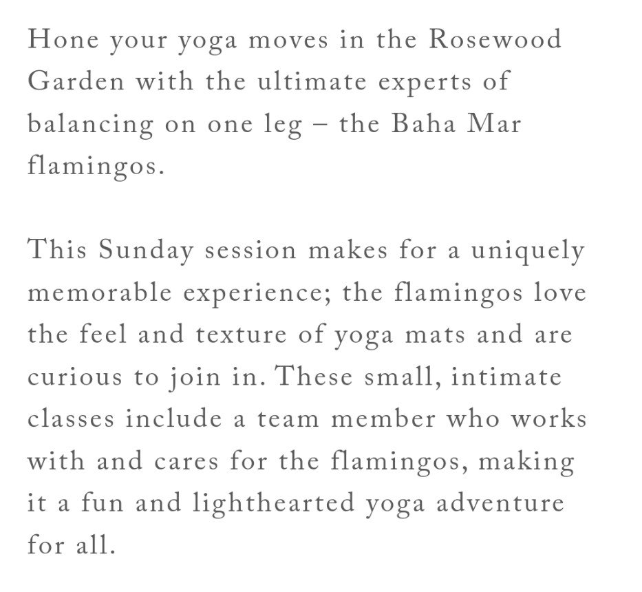 flamingo-yoga-sass-wire-saloon-sass-wire-forum