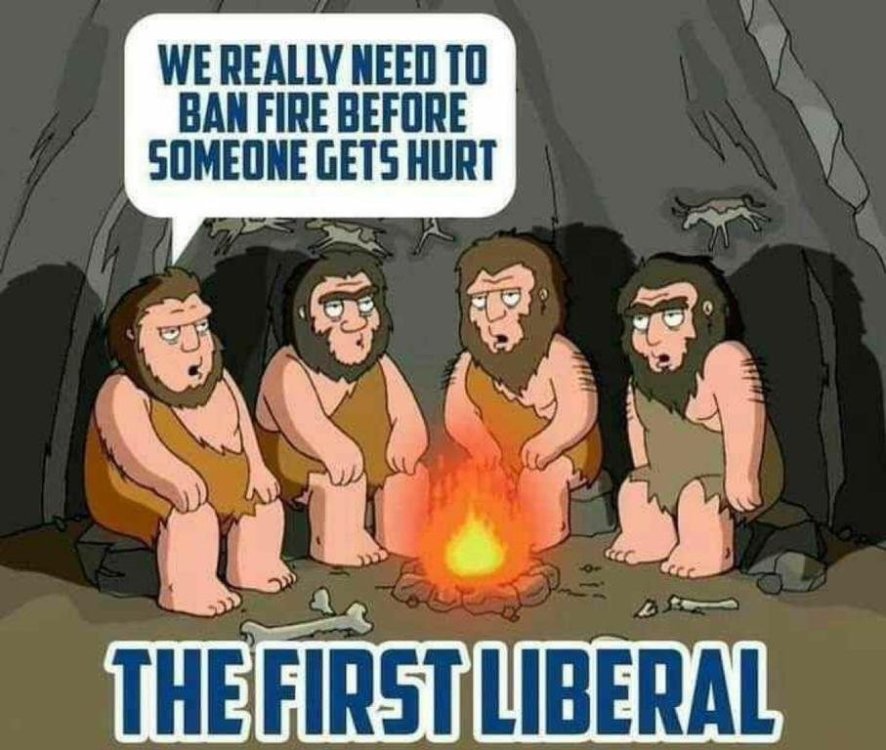 cartoon liberals.jpg