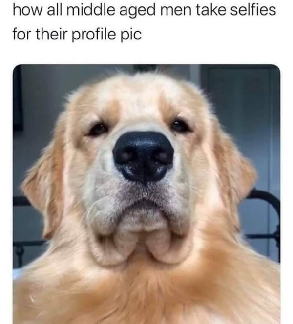 dog selfie.jpg