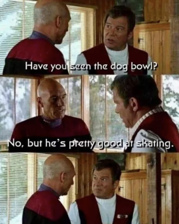 humor dog-bowl.png