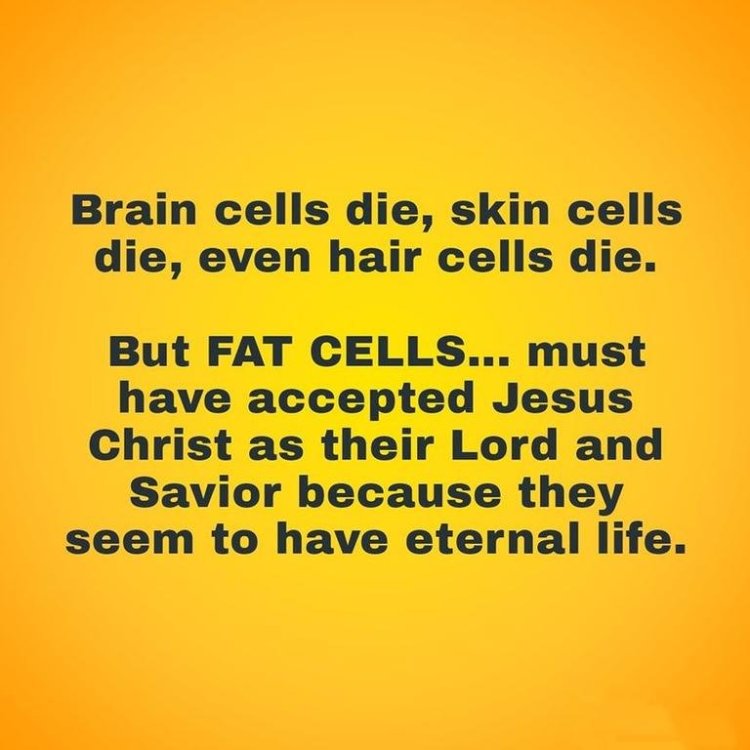 humor fat cells.jpg