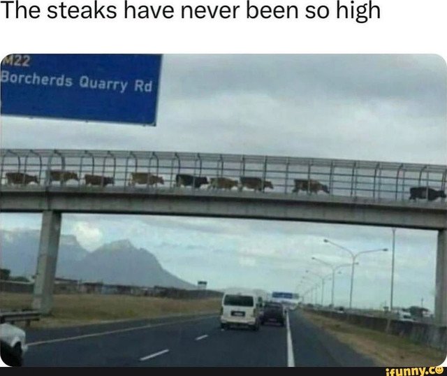 humor steaks.jpg