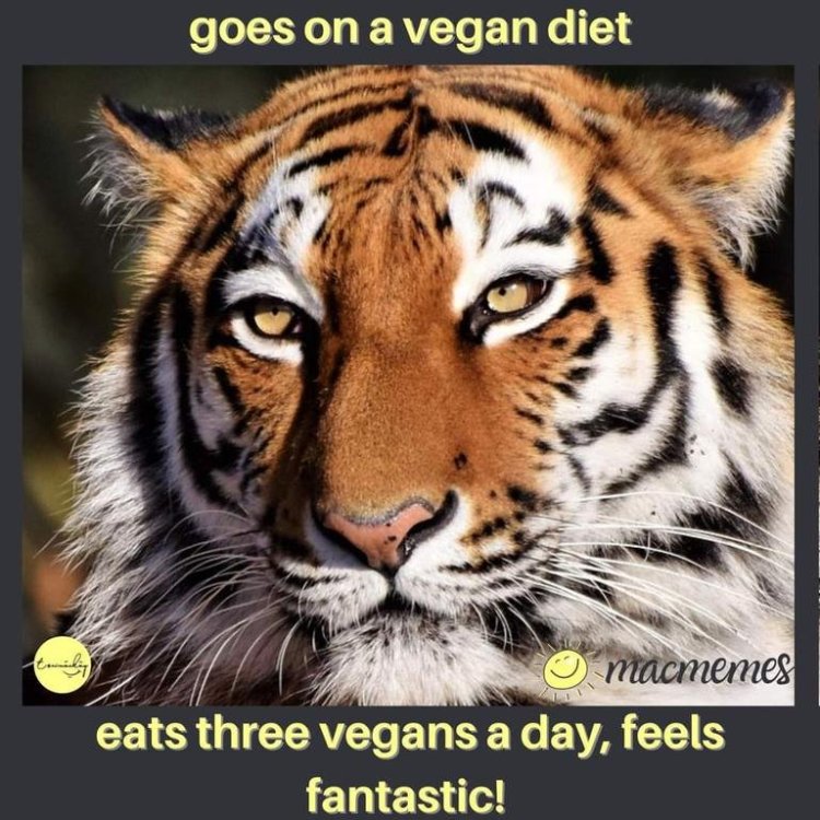 meme VeganDiet.jpg