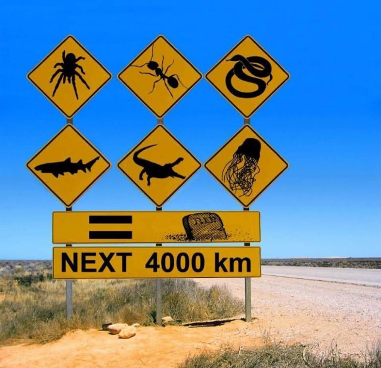 Australia-danger-sign.jpg.4a024c922abc983292002499b3cda6cf.thumb.jpg.03e6adf0059d9915da33304513aec426.jpg
