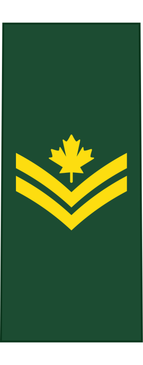 Canadian_Army_OR-5_svg.thumb.png.af2dc0040e44275aa00cac3f8d0b387a.png