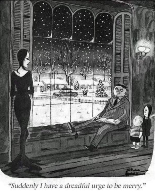 cartoon Addams.jpg