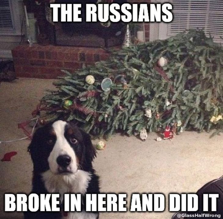 dog Russians.jpg