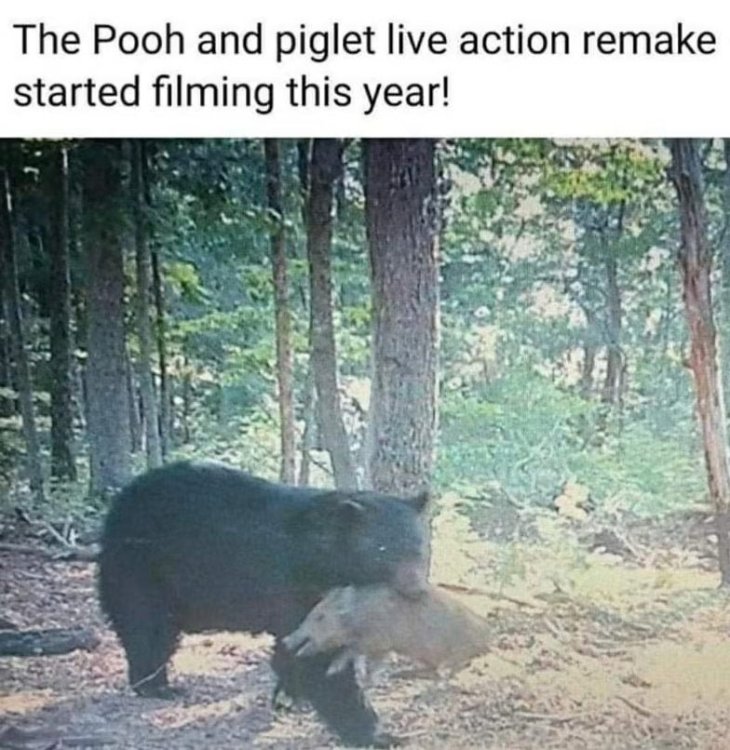 humor Pooh piglet.jpg