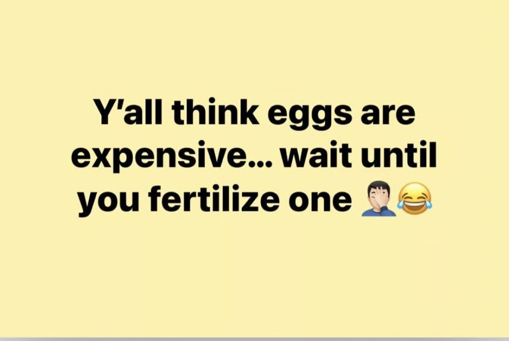 humor fertilized eggs.jpg