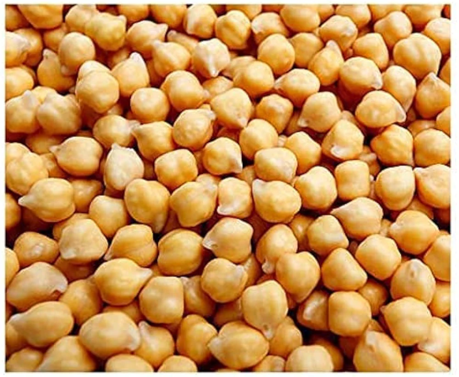 I bean meaning to pea today SASS Wire Saloon SASS Wire Forum