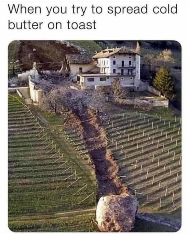 meme butter.jpg