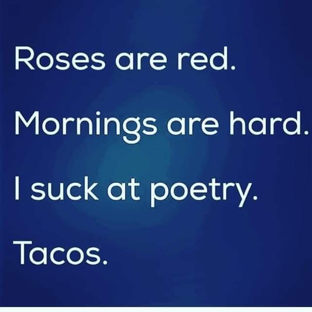 meme taco poetry.jpg