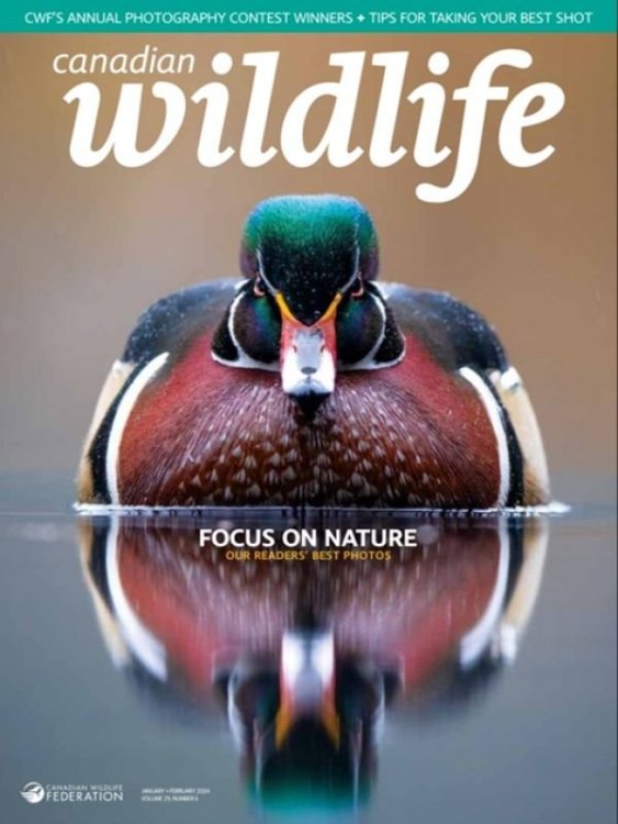 Canadian-Wildlife-January-February-2024.thumb.jpg.9d3bf484b6248eb4726a9d388fbd0e56.jpg