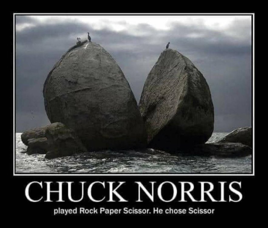 meme Chuck Norris.jpg